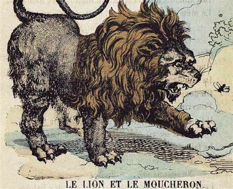 Fable de la fontaine : Le Lion et le Moucheron | Lion Royaume