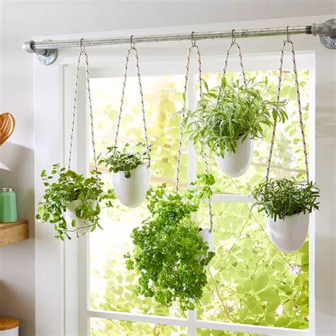 How To Grow Herbs Indoors For A Fragrant Garden Within Reach Hanging