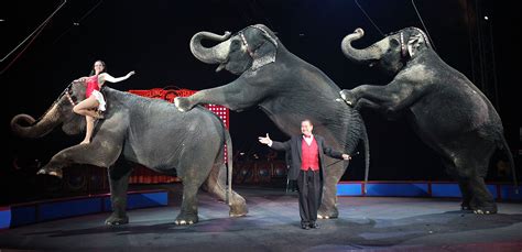 Ringling Bros Phasing Out Elephant Acts By 2018