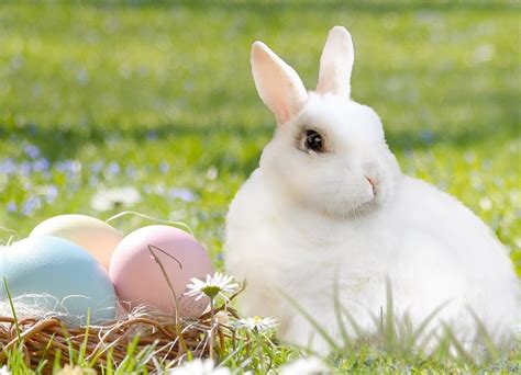 Us Easter Weather Outlook What Can You Expect In Your Area
