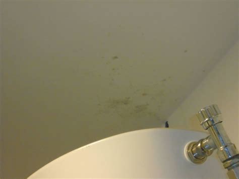 Schimmel im badezimmer wer kennt dieses problem nicht? "Schimmel im Badezimmer" Hotel & Resort Le Axidie (Vico ...