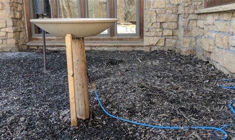 2 day free shipping on 1000s of products! Top 10 Best Heated Bird Baths Reviewed and Rated in 2021