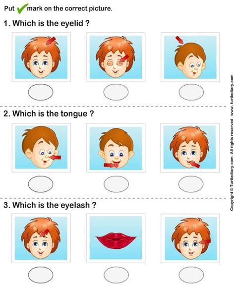 These parts of the face are the nose, mouth, lips, cheeks, eyes, jaw, forehead, and eyebrows. Identify Parts Of Human Face 4 Worksheet - TurtleDiary.com ...