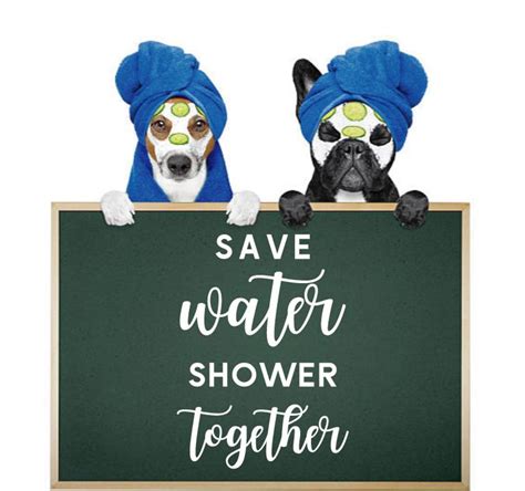 SAVE WATER SHOWER TOGETHER WALL DECAL