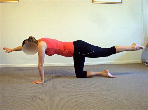 Superficial back muscles, intermediate back muscles and intrinsic back muscles.the intrinsic muscles are named as such because their embryological development begins in the back, oppose to the superficial and intermediate back muscles which develop elsewhere and are therefore classed as extrinsic muscles. Hip Arthritis: The best self-management exercises ...