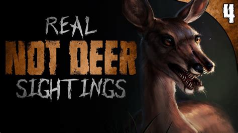 4 Disturbing Sightings Of Not Deer Youtube