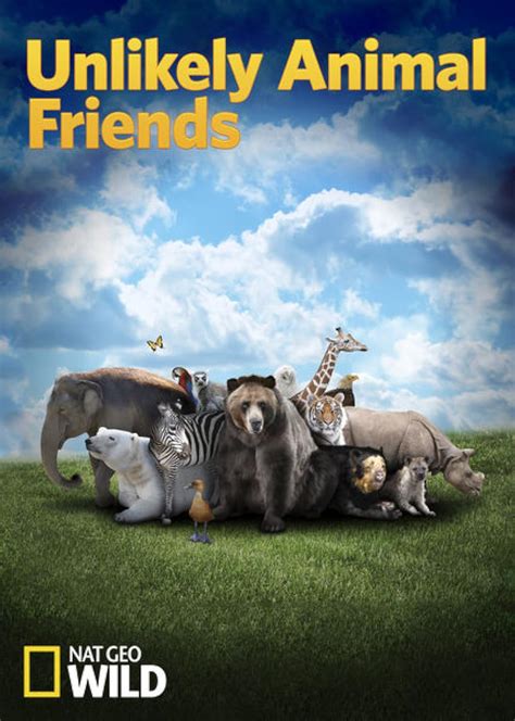 Animal Friends Movie Collection By Alan Shapiro Bill Couturie Des