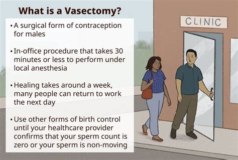 vasectomy sperm count recovery time where to go