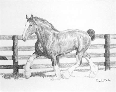 Clydesdale By Horselessherder On Deviantart Horse Artwork Horse