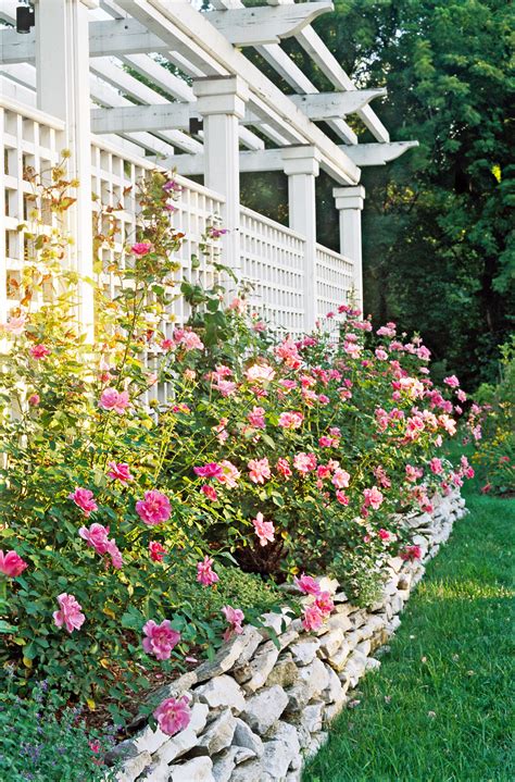 Trellis and ivy fence 30. 19 Beautiful Trellis Fence and Screen Ideas to Turn Your ...