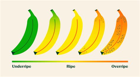 How To Quickly Ripen Bananas Ways Explained Instacart