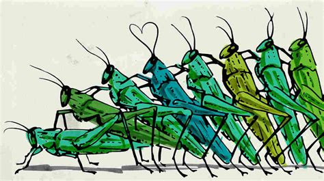 contagious aphrodisiac virus makes crickets have more sex shots health news npr