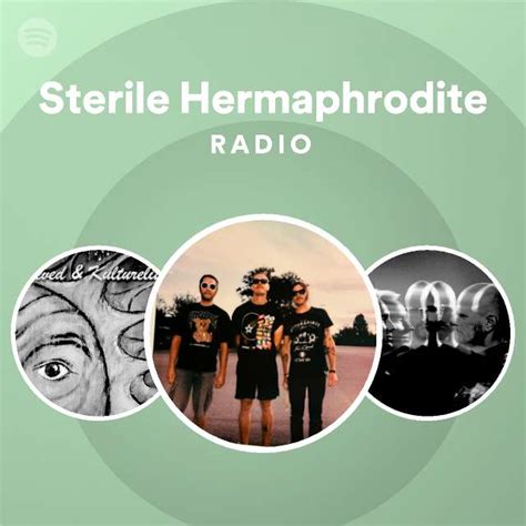 Sterile Hermaphrodite Spotify