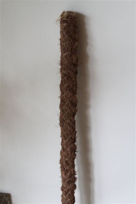 Diy sphagnum moss pole | moss pole for climbing plants. Moss Pole for Supporting House Plants-116cms Tall - Garden ...