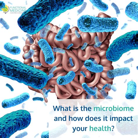 What Is The Microbiome And How Does It Impact Your Health Gut
