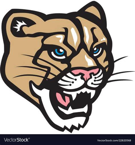 Cougar Head Logo Mascot Royalty Free Vector Image