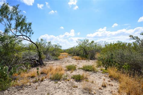 593 Acres Of Recreational Land And Farm For Sale In Cotulla Texas