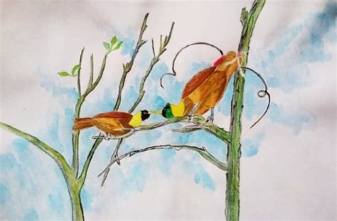 Gambar pohon alam rumput outdoor cabang bunga hewan. +1001 Keistimewaan Sketsa Gambar Burung Terlengkap Dan Penjelasany