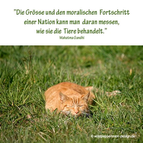 Mahatma gandhi, indian lawyer, politician, social activist, and writer who is considered to be the father of his country. Zitat von Mahatma Gandhi. #Tiere #Katze // www ...