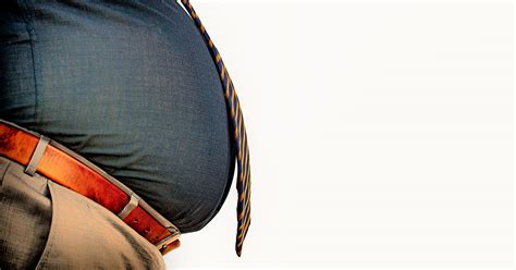 Labor ＆ Employment Blog Seventh Circuit Extreme Obesity Alone Is Not