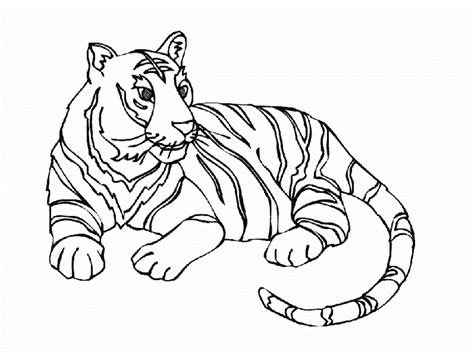 Tigre Disegno Disegni Immagini Da Colorare E Stampare A Tutto Donna