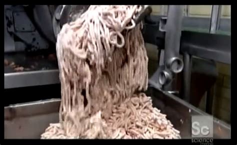 Ovviamente potete anche grigliare i wurstel o cuocerli in una padella senza aggiungere condimento, anche in questo caso bucherellateli, e se sono grandi divideteli a metà per il lungo. Bufale in rete: il video dei maiali morti destinati a wurstel