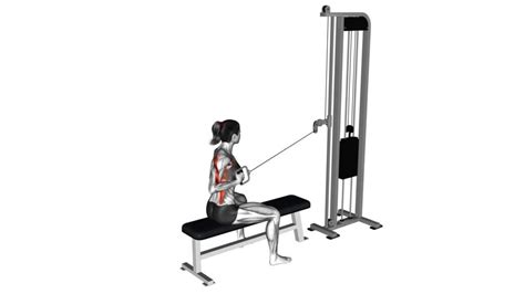 Cable Seated Single Arm Row Female Exercise Guide And Tips