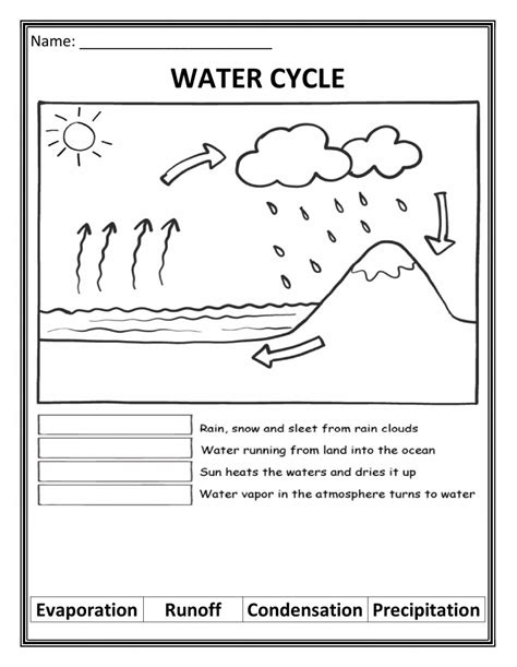 Water Cycle Free Worksheet