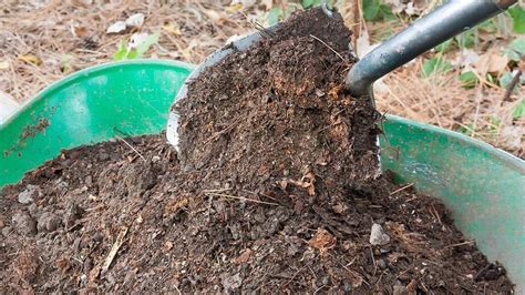 Always follow label directions regarding how much to apply. How to fertilize your summer vegetable garden | The ...