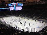 Pictures of Cornell Ice Hockey Madison Square Garden