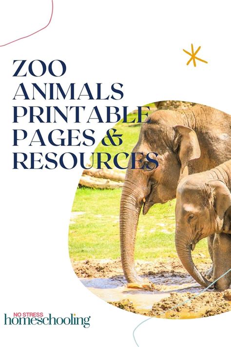 Zoo Animals Pictures Printable