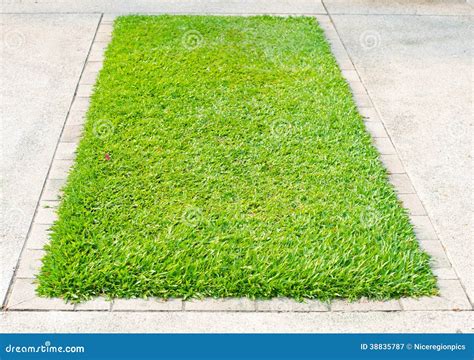 Green Grass On Square Concrete Block Stock Photo Image 38835787