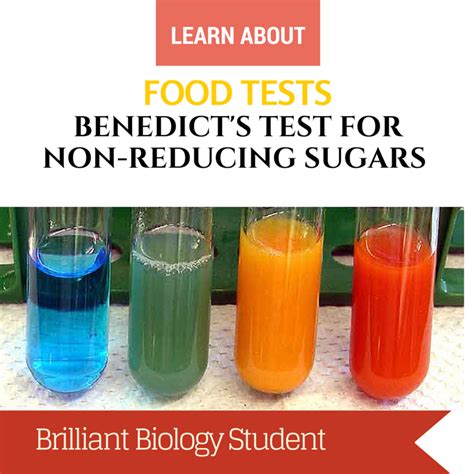 Iodine Tests For Starch And Benedict S