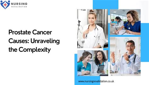 Prostate Cancer Causes Unraveling The Complexity Nursing Revalidation
