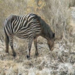 Horse to Zebra