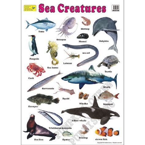 7 Best Sea Animals List Names Images On Pinterest Names Animal