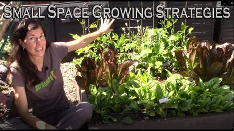 Small Space Gardening Strategies Youtube