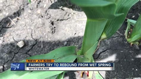 Farmers Try To Rebound From Wet Spring One News Page Video