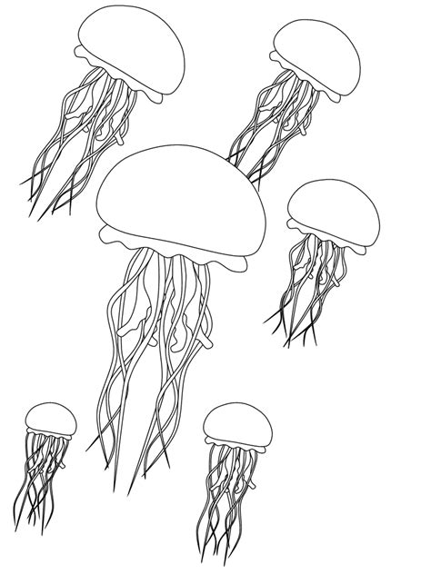 Animal mandala coloring pages are a great way to get your meditation on. jellyfish | Animal coloring pages, Coloring pages