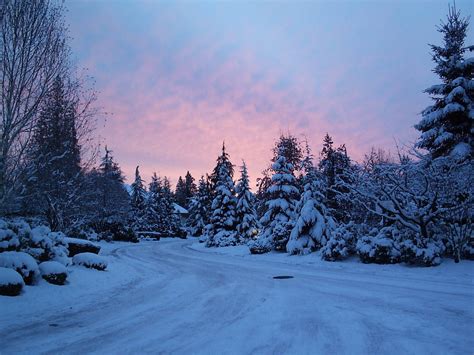 wallpapers: Winter Backgrounds