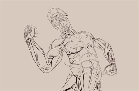 6 Pack Abs Dessin sur GetDrawings.com - abdo - 2020