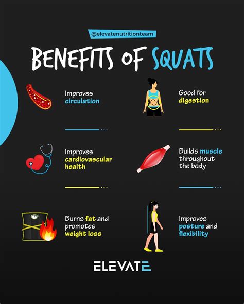 the squat guide elevate nutrition