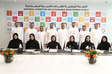 Strengthen the means of implementation and revitalize the global partnership for sustainable development. National Committee on Sustainable Development Goals Holds ...
