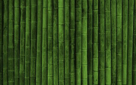 Download Bamboo Pattern Wallpaper Manufacturers By Daviddonovan