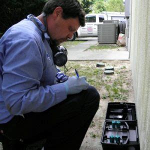 When you want total pest control, call valuepest. Mouse and Rat Control - The Pest Force » The Pest Force