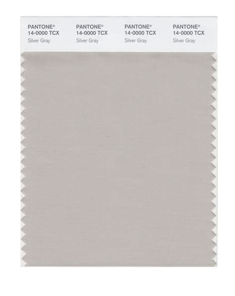 Pantone Smart Color Swatch Card 14 0000 Tcx Silver Gray Columbia Omni