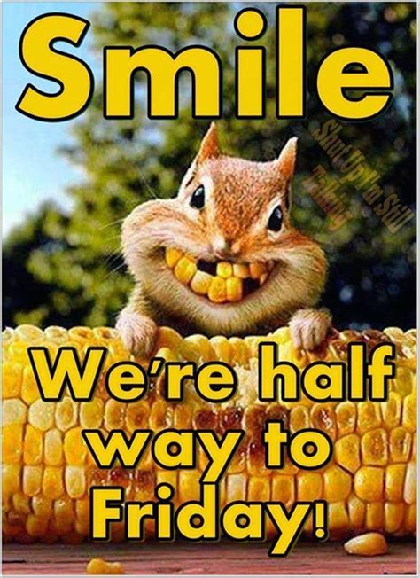 Smile We Are Half Way To Friday Funny Wednesday Quotes