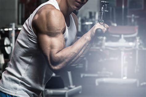 Les Meilleurs Exercices Pour Muscler Les Bras Blog Eric Favre Sport