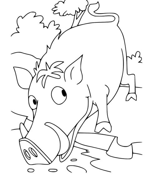 Boar 3 Coloring Page Free Printable Coloring Pages For Kids