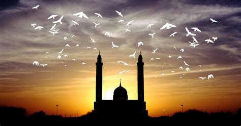 الحرية في الإسلام - المعهد المصري للدراسات
